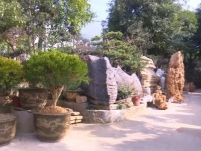 Orinstone 여행: Stone Village에서 제작되고 세계를 위해 제작되었습니다.